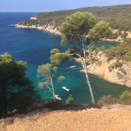 Sanary sur Mer Appartement 30m2 T2 avec terrasse Piscine 10min à pied de la plage Esterno foto